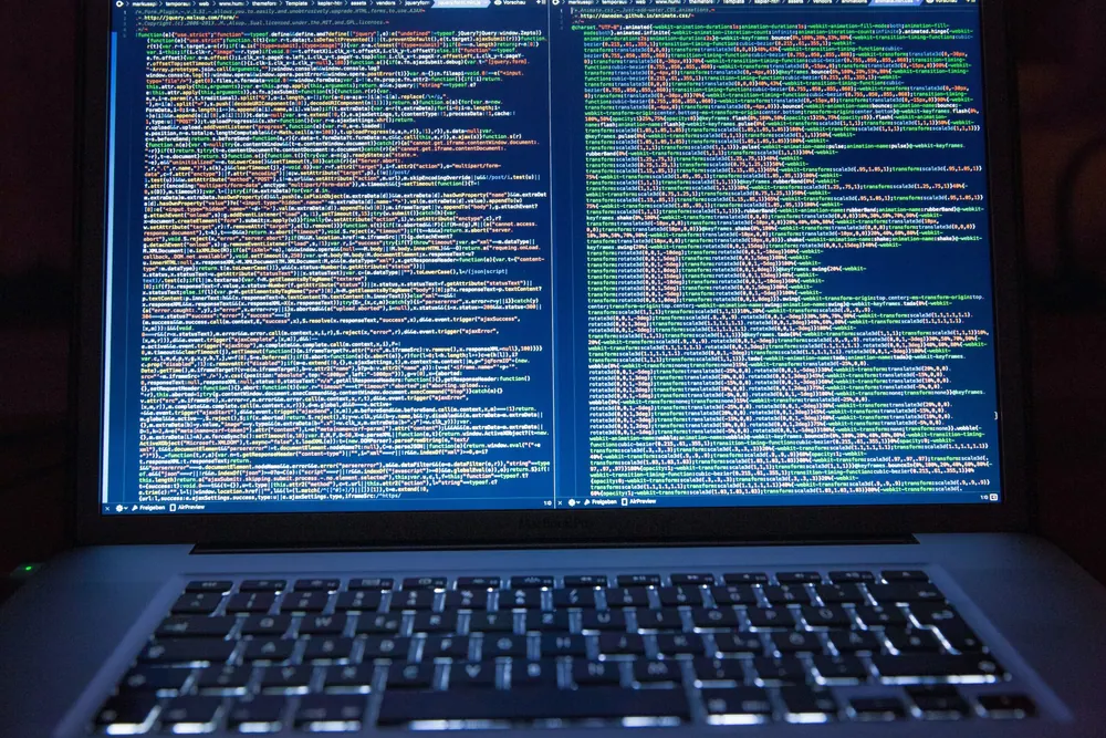 What is the importance of data science in companies?
