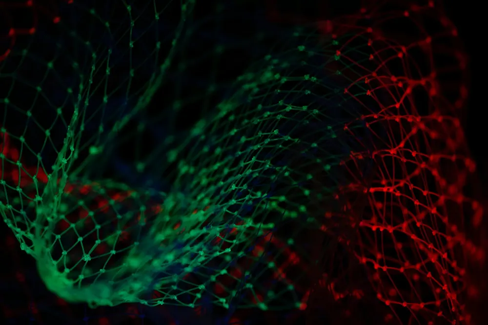 Leveraging Big Data to Drive business success