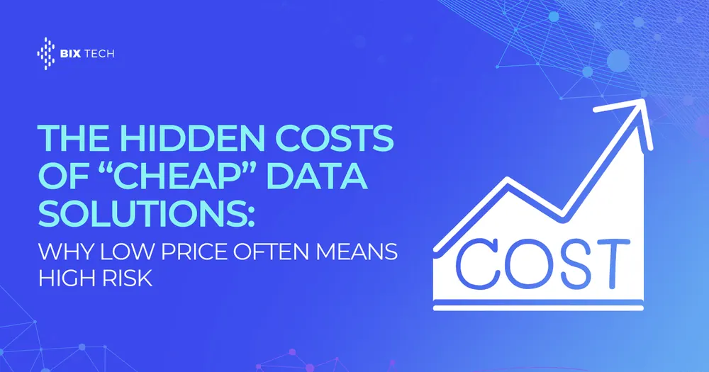 The Hidden Costs of “Cheap” Data Solutions: Why Low Price Often Means High Risk